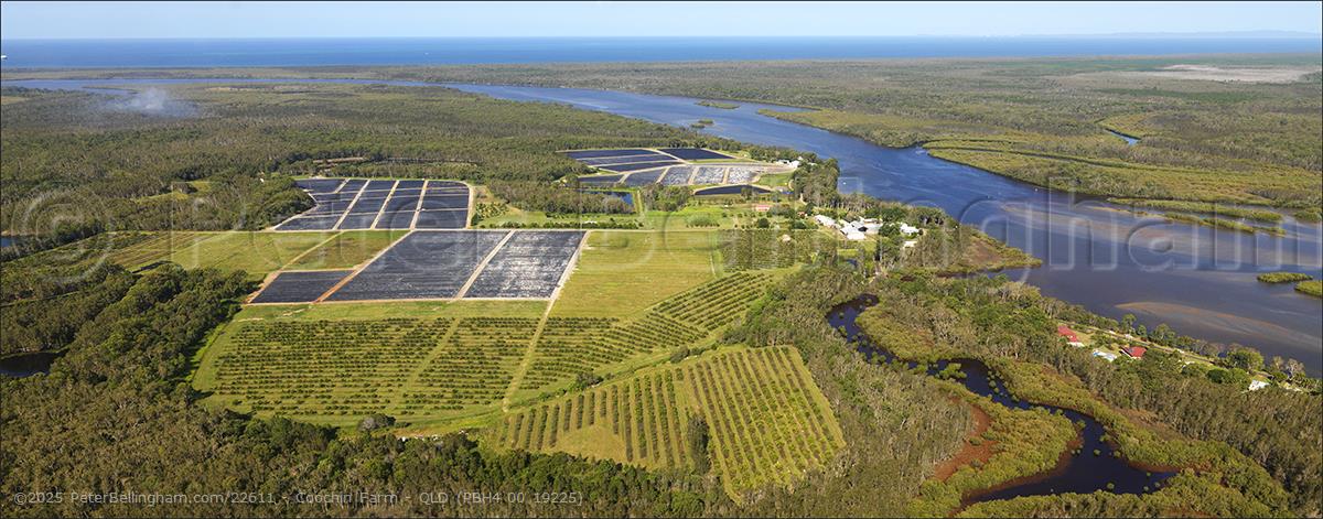 Peter Bellingham Photography Coochin Farm - QLD (PBH4 00 19225)